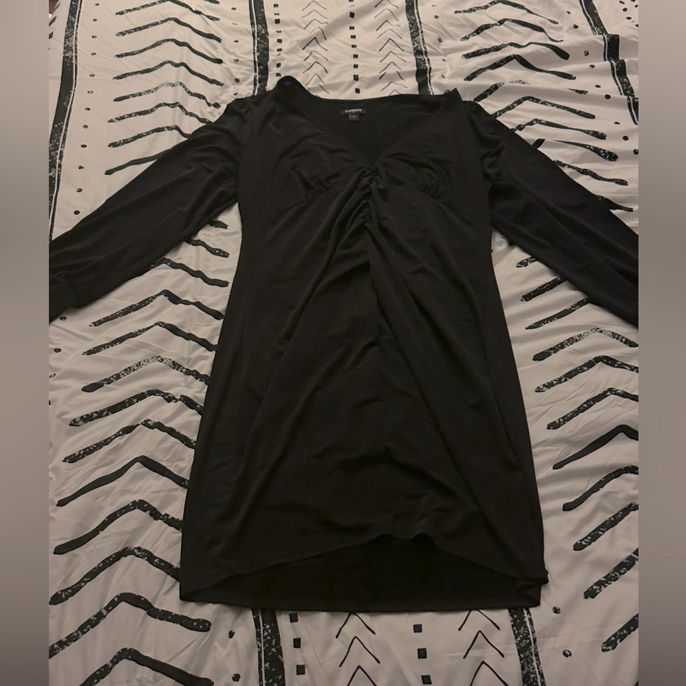 Express Large Party Dress